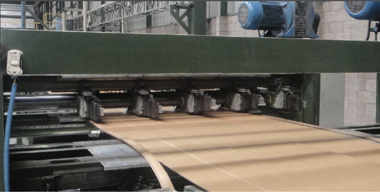 ePS Packaging - Cartonesa Case Study